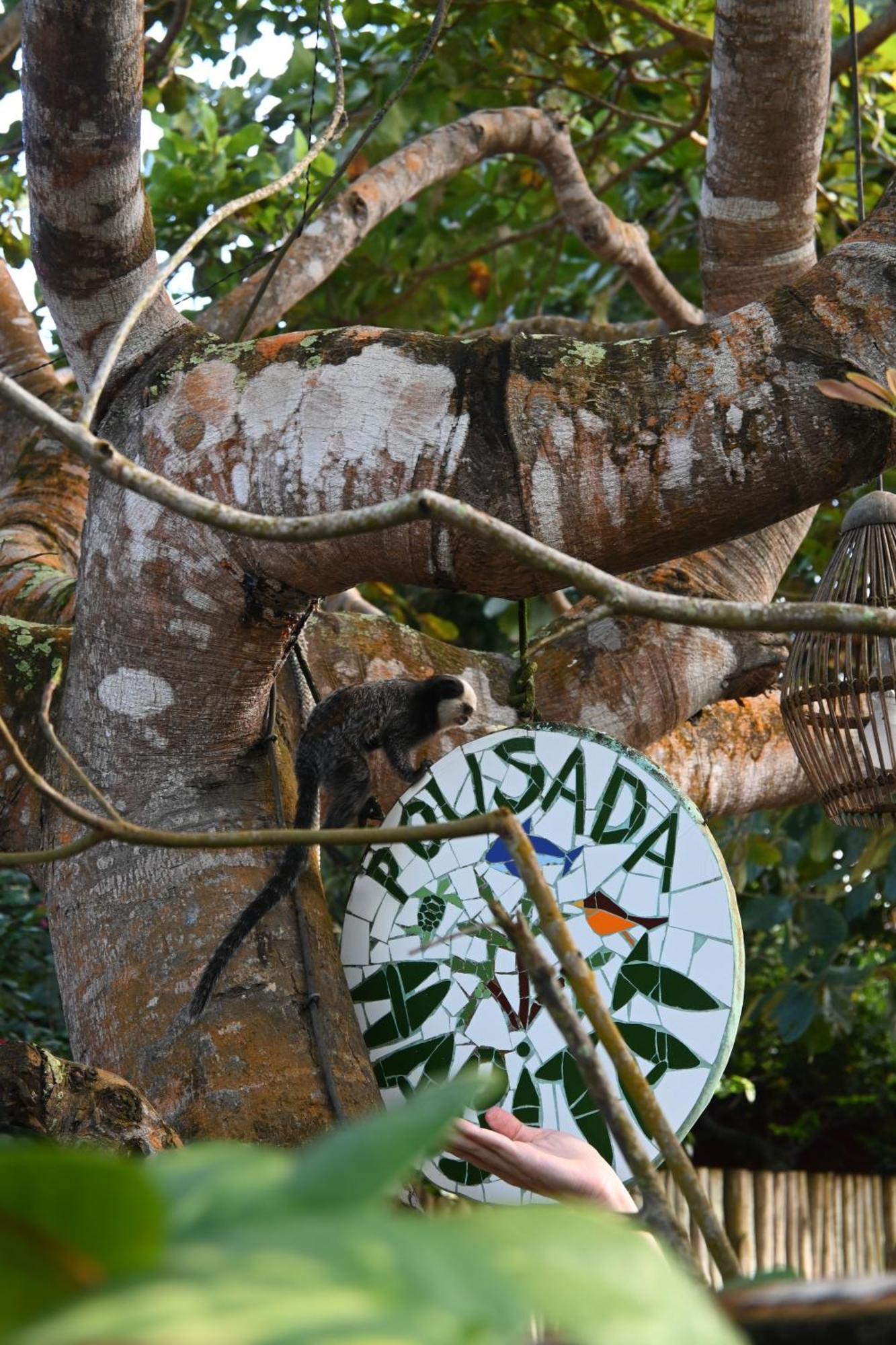 Pousada Habitat Caraíva Buitenkant foto